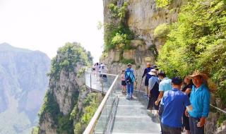 遥知兄弟登高处,遥是什么意思 遥知兄弟登高处下句