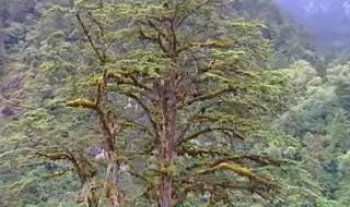 五百年桑田沧海 五百年桑田沧海