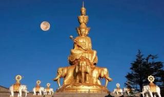 月光所照皆是故乡 月光所照皆是故乡