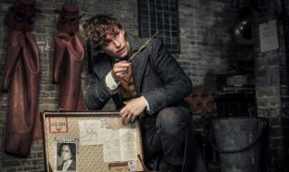 邓布利多格林德沃