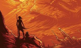 叶落纷飞飞满天 叶落纷飞飞满天