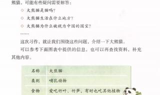 国宝大熊猫作文300字