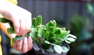 我有多久没喂饱你了 我有多久没喂饱你了