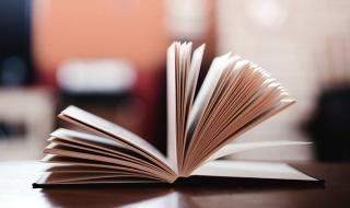 我爱你汉语 我爱你汉语