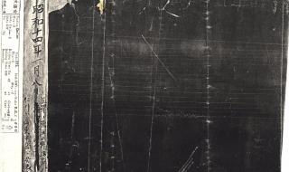 乳山地震最新消息