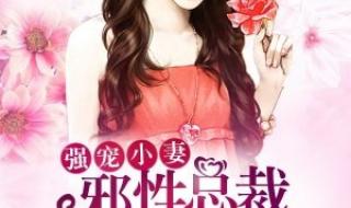 强宠总裁的女人 强宠总裁的女人