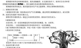 八年级生物复习提纲