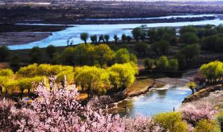 上春山2024春晚 上春山2024春晚