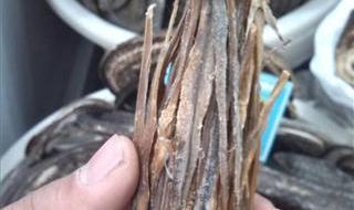 江西省萍乡市莲花县 江西省萍乡市莲花县